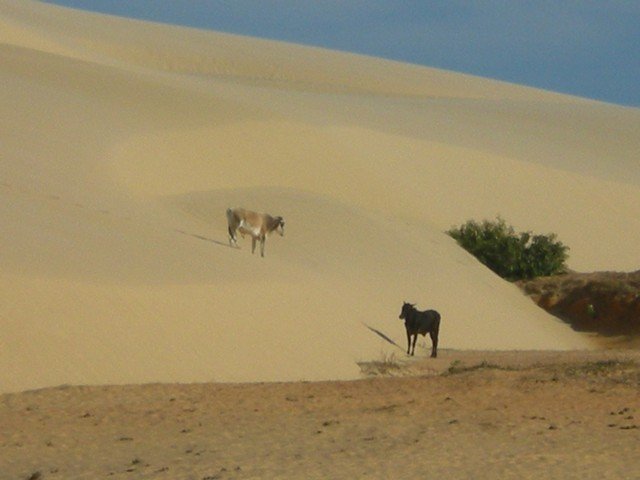 Brazil 2008 - 345